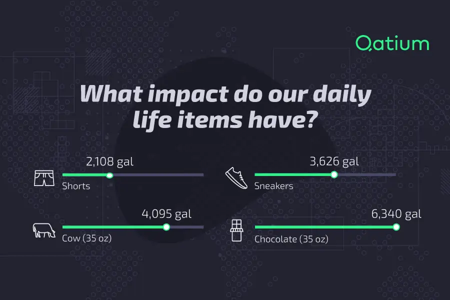Infographic_FootPrint_Qatium_Blog_En